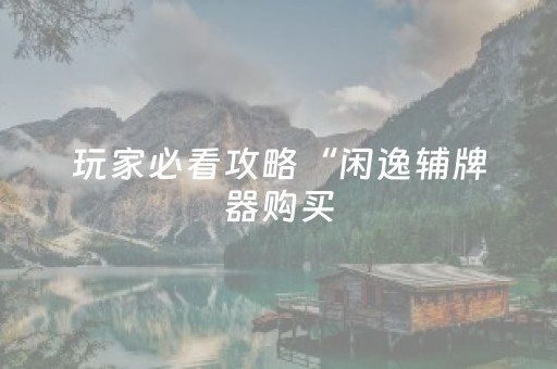 玩家必看攻略“闲逸辅牌器购买（助赢神器通用版）