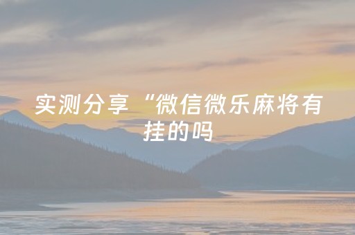 实测分享“微信微乐麻将有挂的吗（专用辅牌神器免安装）