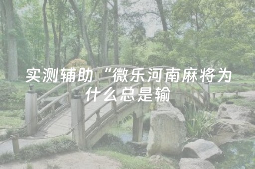 实测辅助“微乐河南麻将为什么总是输（助赢神器通用版）