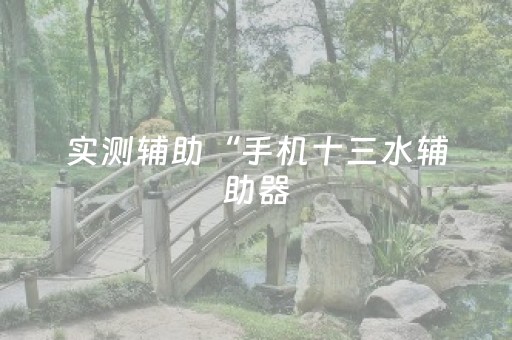 实测辅助“手机十三水辅助器（专用辅牌神器免安装）