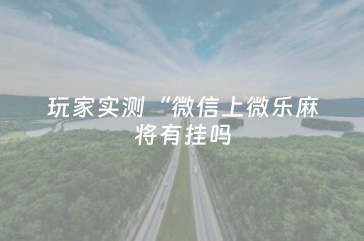 玩家实测“微信上微乐麻将有挂吗（专用辅牌神器免安装）