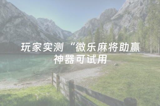 玩家实测“微乐麻将助赢神器可试用（助赢神器通用版）