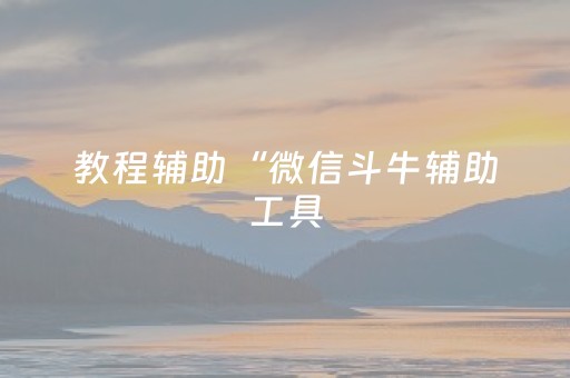 教程辅助“微信斗牛辅助工具（助赢神器通用版）