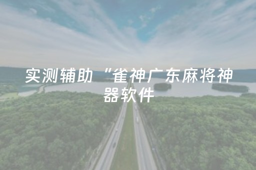 实测辅助“雀神广东麻将神器软件（助赢神器通用版）