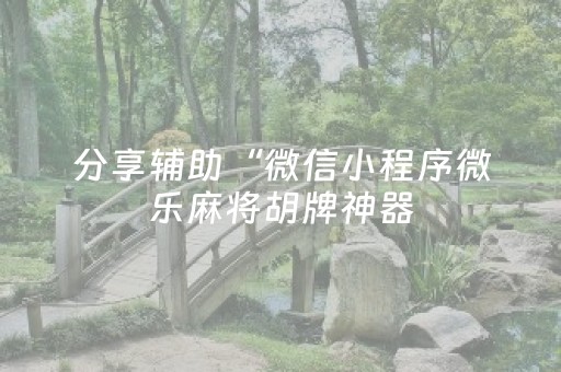 分享辅助“微信小程序微乐麻将胡牌神器（专用辅牌神器免安装）