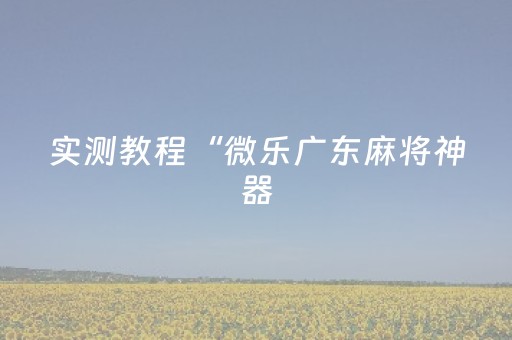 实测教程“微乐广东麻将神器（专用辅牌神器免安装）
