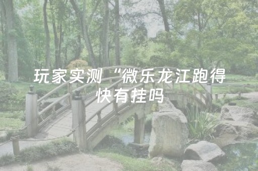 玩家实测“微乐龙江跑得快有挂吗（专用辅牌神器免安装）