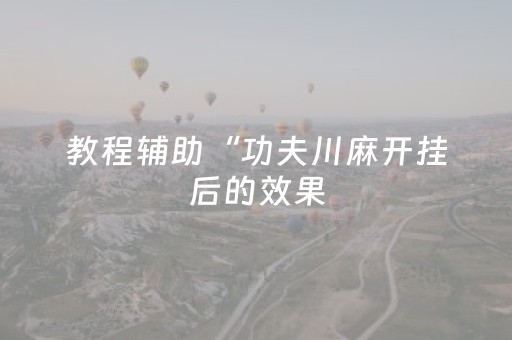 教程辅助“功夫川麻开挂后的效果（专用辅牌神器免安装）