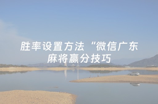 胜率设置方法“微信广东麻将赢分技巧（专用辅牌神器免安装）