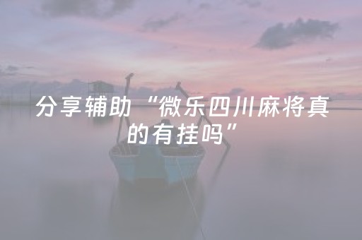 分享辅助“微乐四川麻将真的有挂吗”（详细透视教程）-哔哩哔哩