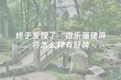 终于发现了“微乐福建麻将怎么样有好牌（助赢神器通用版）