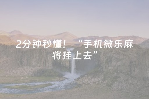 2分钟秒懂！“手机微乐麻将挂上去”（详细开挂教程）-哔哩哔哩