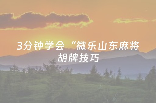 3分钟学会“微乐山东麻将胡牌技巧（助赢神器通用版）