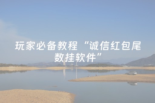 玩家必备教程“诚信红包尾数挂软件”（详细透视教程）-哔哩哔哩