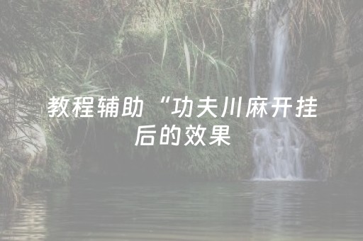教程辅助“功夫川麻开挂后的效果（助赢神器通用版）