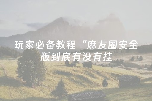 玩家必备教程“麻友圈安全版到底有没有挂（专用辅牌神器免安装）