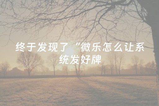 终于发现了“微乐怎么让系统发好牌（专用辅牌神器免安装）