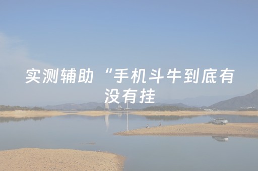 实测辅助“手机斗牛到底有没有挂（专用辅牌神器免安装）