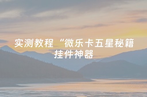 实测教程“微乐卡五星秘籍挂件神器（专用辅牌神器免安装）