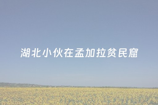 必看教程“微乐家乡麻将挂神器（助赢神器通用版）