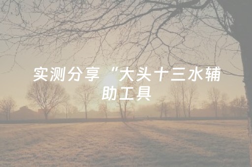 实测分享“大头十三水辅助工具（助赢神器通用版）