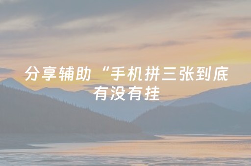 分享辅助“手机拼三张到底有没有挂（专用辅牌神器免安装）