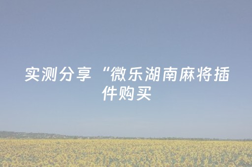 实测分享“微乐湖南麻将插件购买（助赢神器通用版）