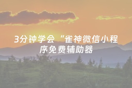3分钟学会“雀神微信小程序免费辅助器（专用辅牌神器免安装）