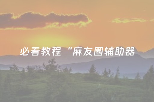 必看教程“麻友圈辅助器（助赢神器通用版）