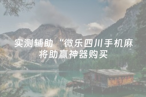 实测辅助“微乐四川手机麻将助赢神器购买（助赢神器通用版）