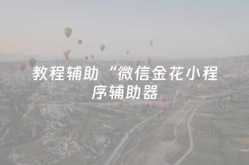 教程辅助“微信金花小程序辅助器（专用辅牌神器免安装）