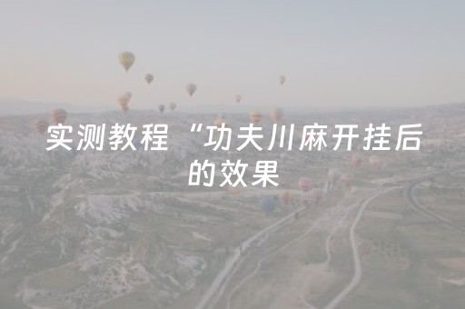 实测教程“功夫川麻开挂后的效果（专用辅牌神器免安装）