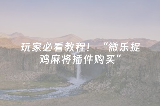 玩家必看教程！“微乐捉鸡麻将插件购买”（详细透视教程）-哔哩哔哩