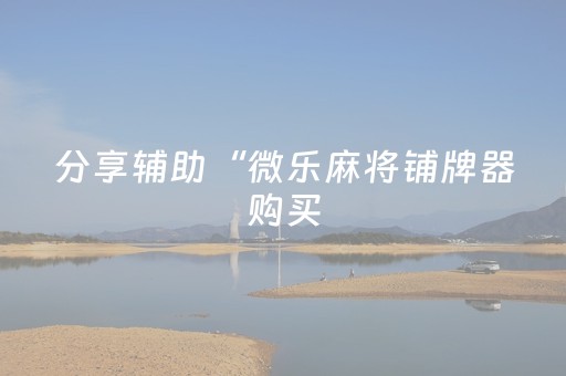 分享辅助“微乐麻将铺牌器购买（助赢神器通用版）