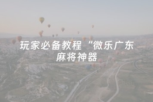 玩家必备教程“微乐广东麻将神器（助赢神器通用版）