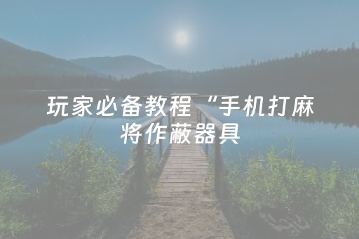 玩家必备教程“手机打麻将作蔽器具（专用辅牌神器免安装）