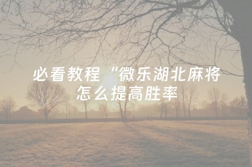 必看教程“微乐湖北麻将怎么提高胜率（专用辅牌神器免安装）