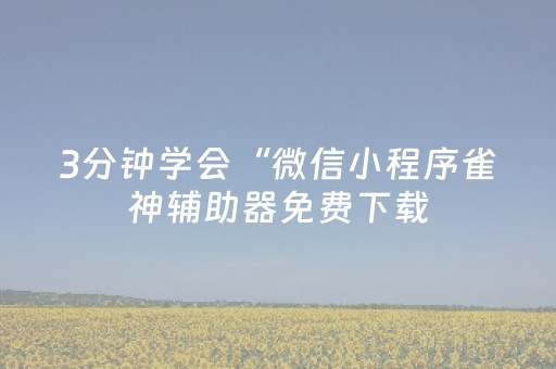 3分钟学会“微信小程序雀神辅助器免费下载（专用辅牌神器免安装）