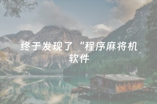 终于发现了“程序麻将机软件（专用辅牌神器免安装）