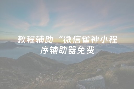 教程辅助“微信雀神小程序辅助器免费（专用辅牌神器免安装）