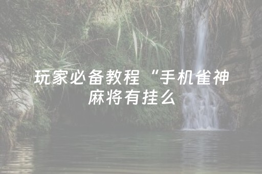 玩家必备教程“手机雀神麻将有挂么（专用辅牌神器免安装）