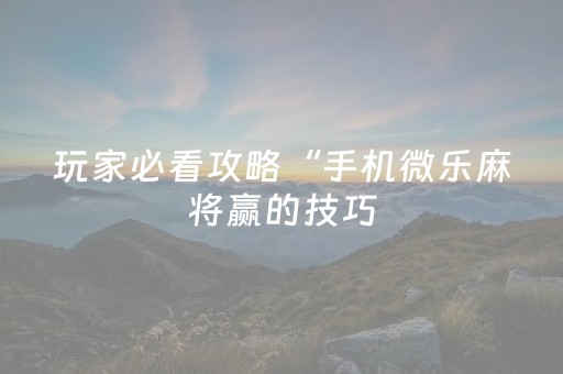 玩家必看攻略“手机微乐麻将赢的技巧（专用辅牌神器免安装）