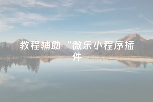 教程辅助“微乐小程序插件（助赢神器通用版）