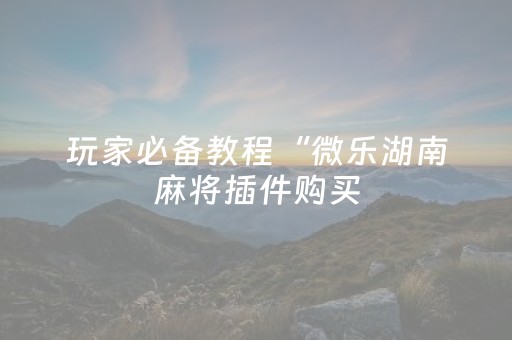 玩家必备教程“微乐湖南麻将插件购买（专用辅牌神器免安装）