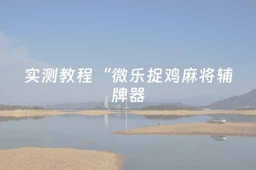 实测教程“微乐捉鸡麻将辅牌器（助赢神器通用版）