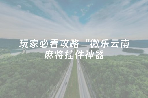 玩家必看攻略“微乐云南麻将挂件神器（助赢神器通用版）