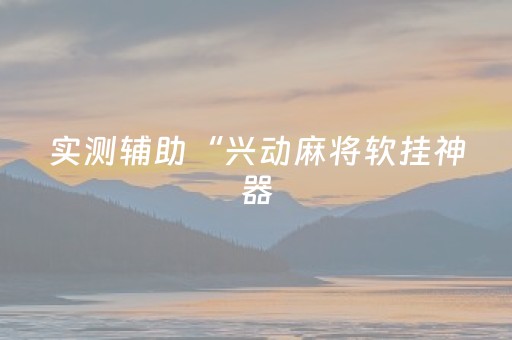 实测辅助“兴动麻将软挂神器（助赢神器通用版）