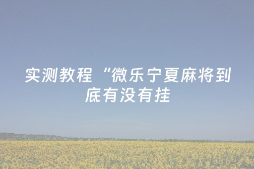 实测教程“微乐宁夏麻将到底有没有挂（助赢神器通用版）
