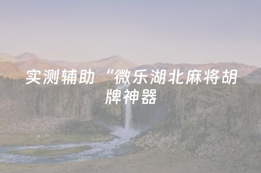 实测辅助“微乐湖北麻将胡牌神器（专用辅牌神器免安装）