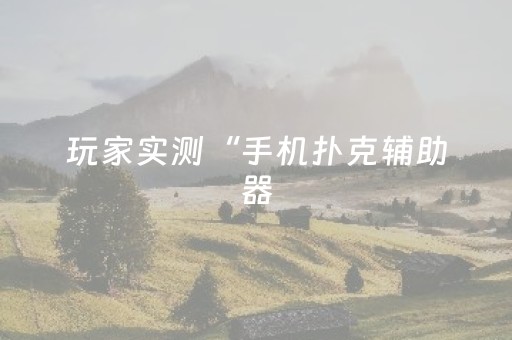 玩家实测“手机扑克辅助器（专用辅牌神器免安装）